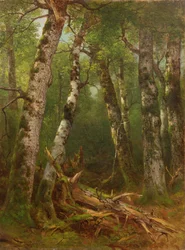 Skupina stromů, 1855-77